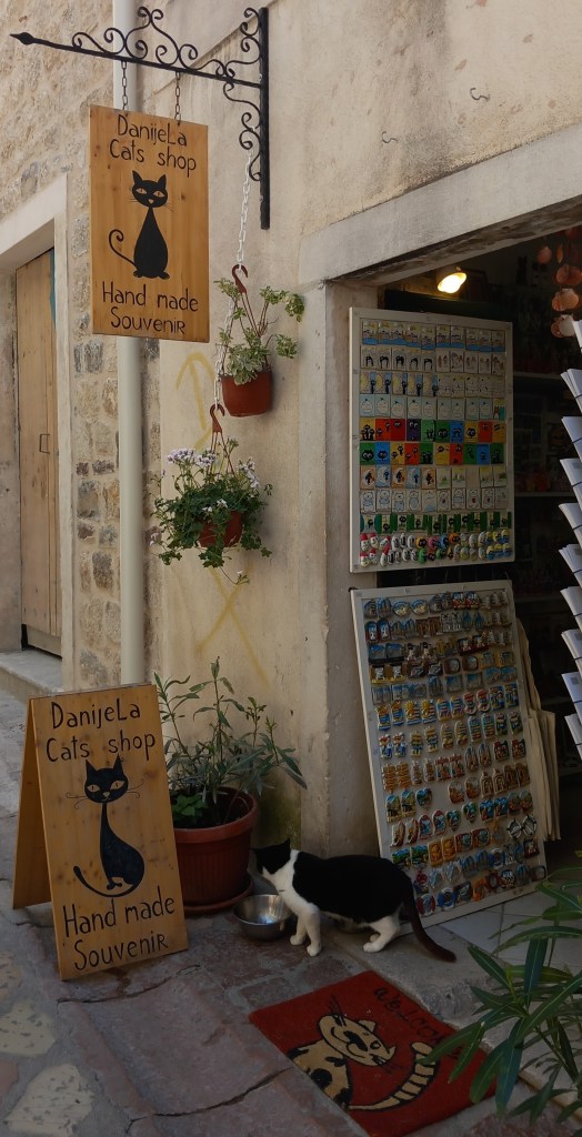 Little shop in Kotor, Montenegro, inspired by one of the main attractions in Kotor - cats