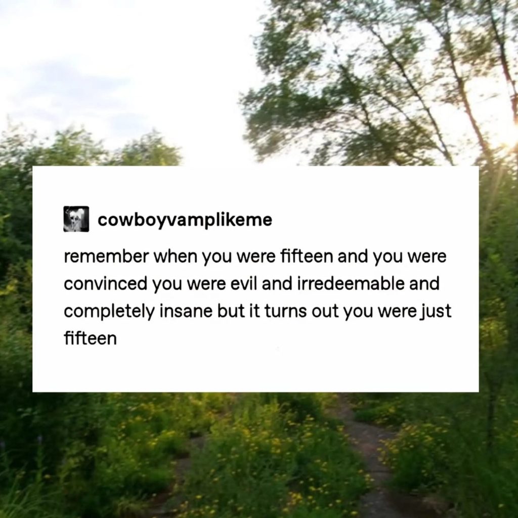 A quote on a social media post reflecting on the feelings of being fifteen, set against a background of a natural landscape with greenery and sunlight.