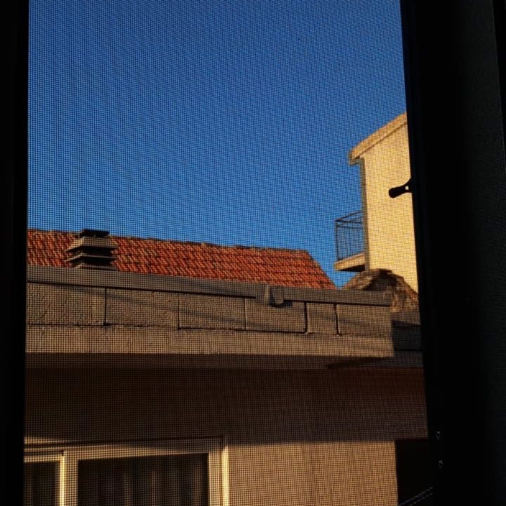 View through a window screen showing rooftops and clear blue sky.