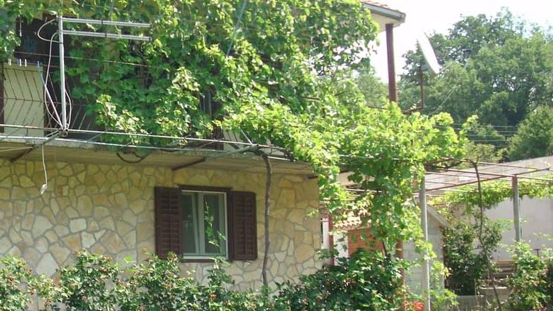 A rustic stone house partially covered with green vines, featuring a window with wooden shutters and a balcony, surrounded by lush garden foliage.