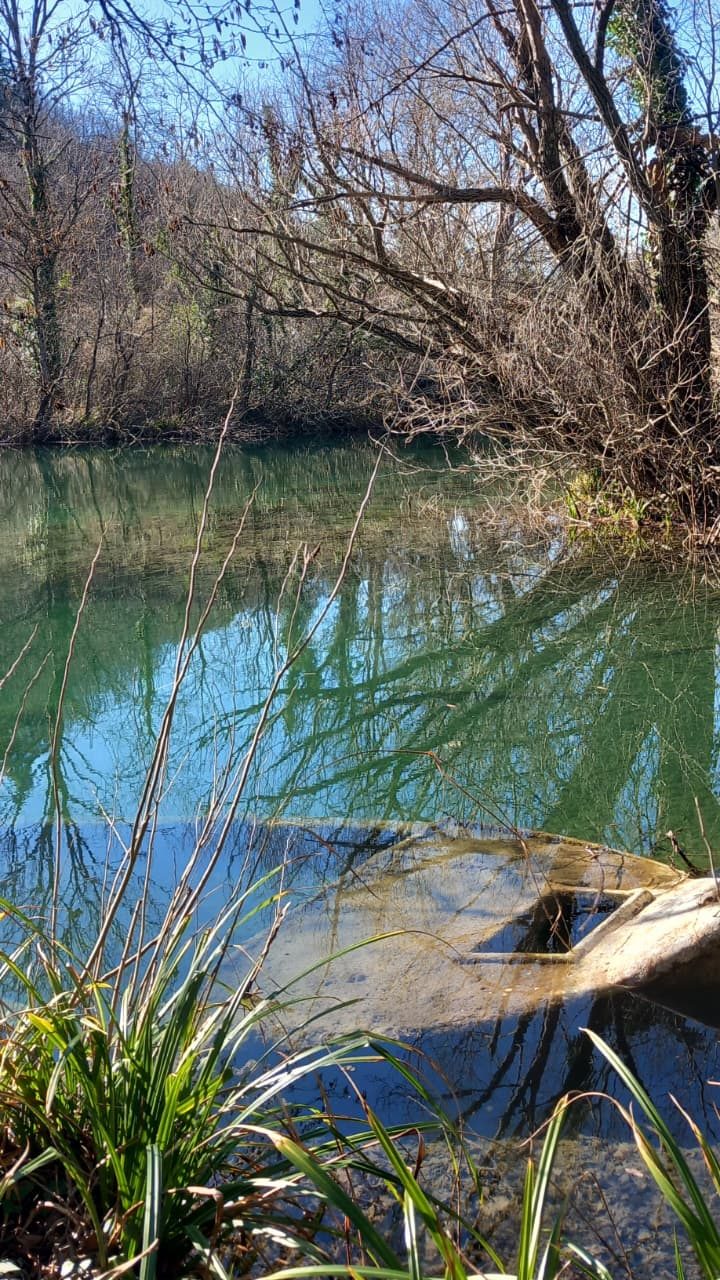 A tranquil river scene with calm water reflecting trees and clear blue sky, surrounded by bare branches and green grass along the bank.