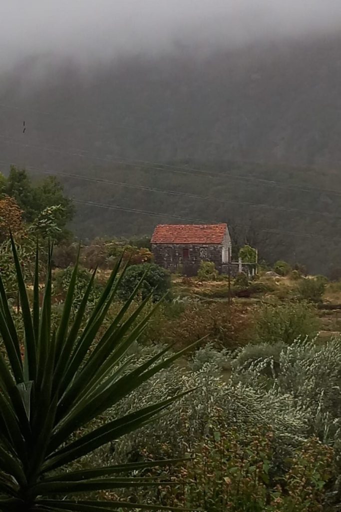 A small rustic stone house with a red tiled roof set against a misty mountainous background, surrounded by lush greenery and plants.