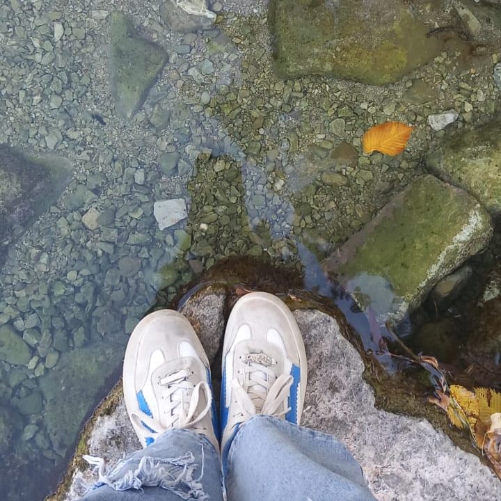 Top view of a person standing on a rock next to clear water with visible pebbles and a floating orange leaf.