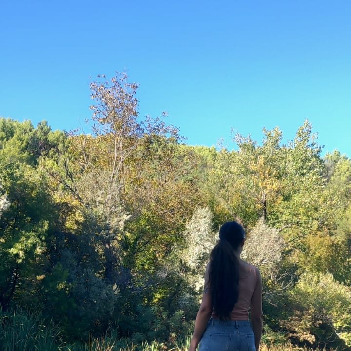 A person standing with their back to the camera, looking at a lush green landscape with trees and blue sky.