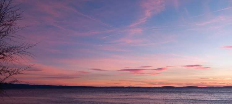A serene sunset over a calm body of water, featuring pastel pink and blue hues in the sky, with a silhouette of tree branches on the left.