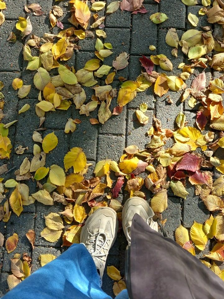 Close-up view of a person's feet wearing beige sneakers standing on a walkway covered with assorted autumn leaves in shades of yellow, red, and brown.